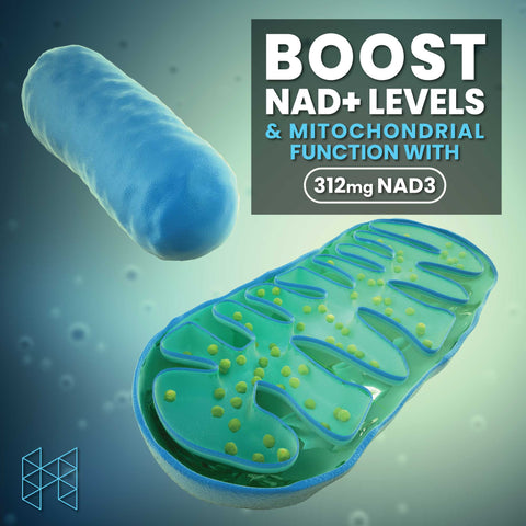 NAD3® 60 • An All Natural NAD+ Booster™ (1 Month Supply)