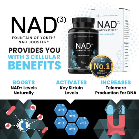 Cell Restoration Bundle | NAD3 + Sirtuins