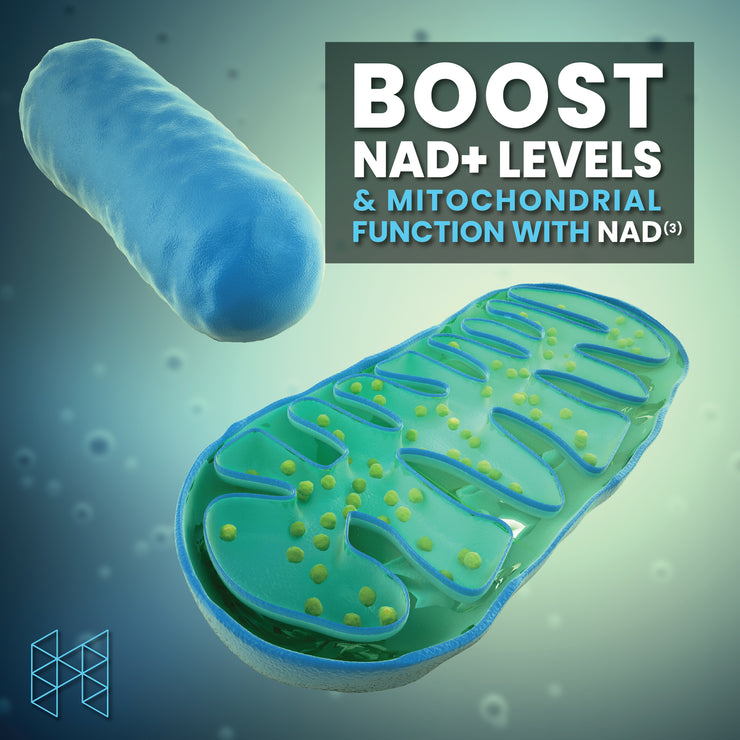 NAD3® 60 • An All Natural NAD+ Booster™ (1 Month Supply)