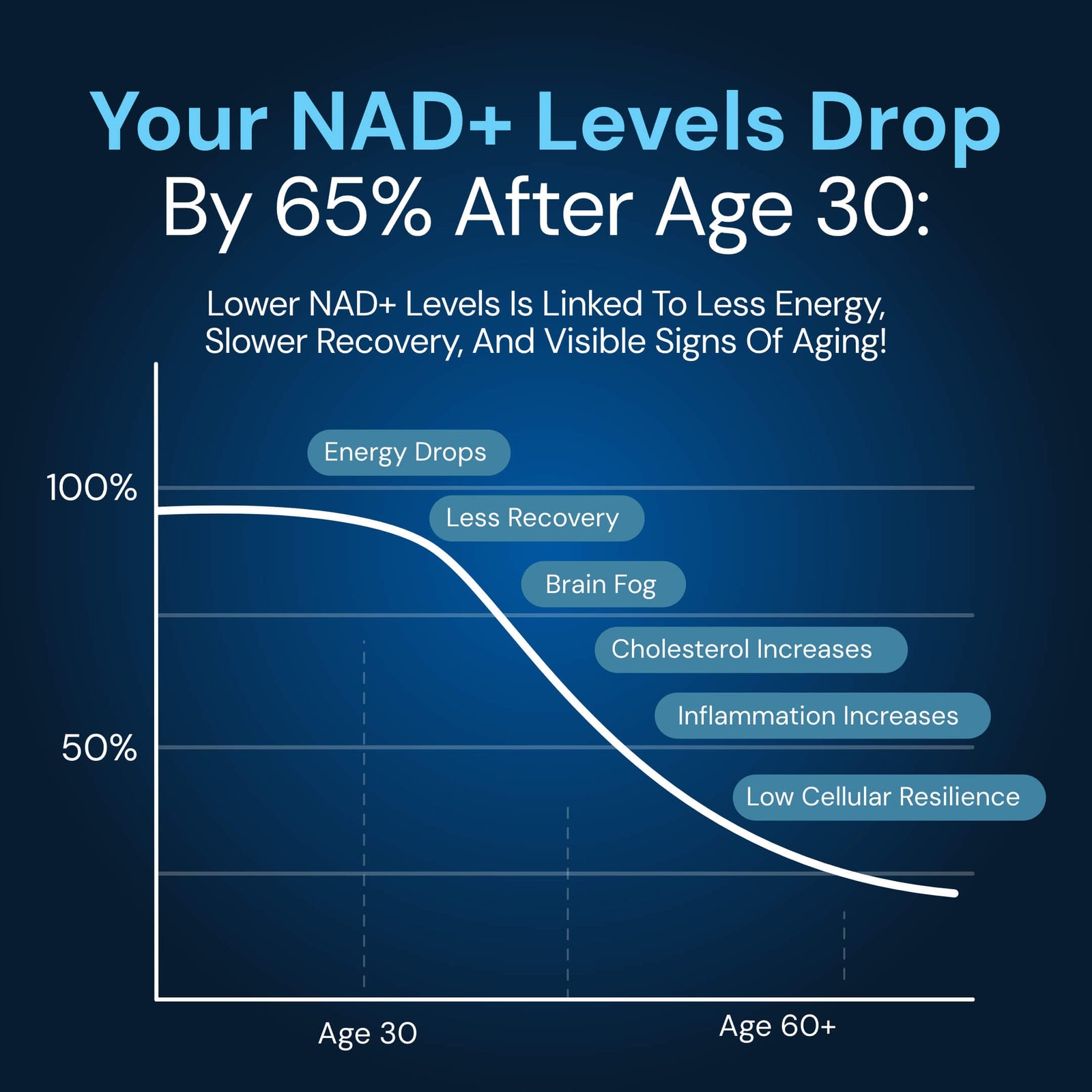 NAD3 gallery image