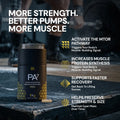 PA7® Believer Bottle Mediator mTOR Elevation