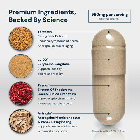 T5® T-Booster