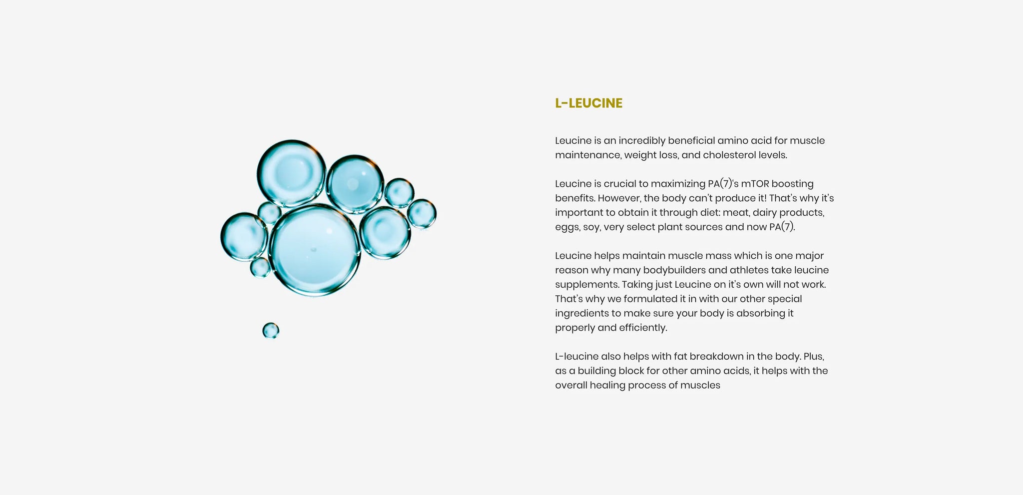 Full Width Image