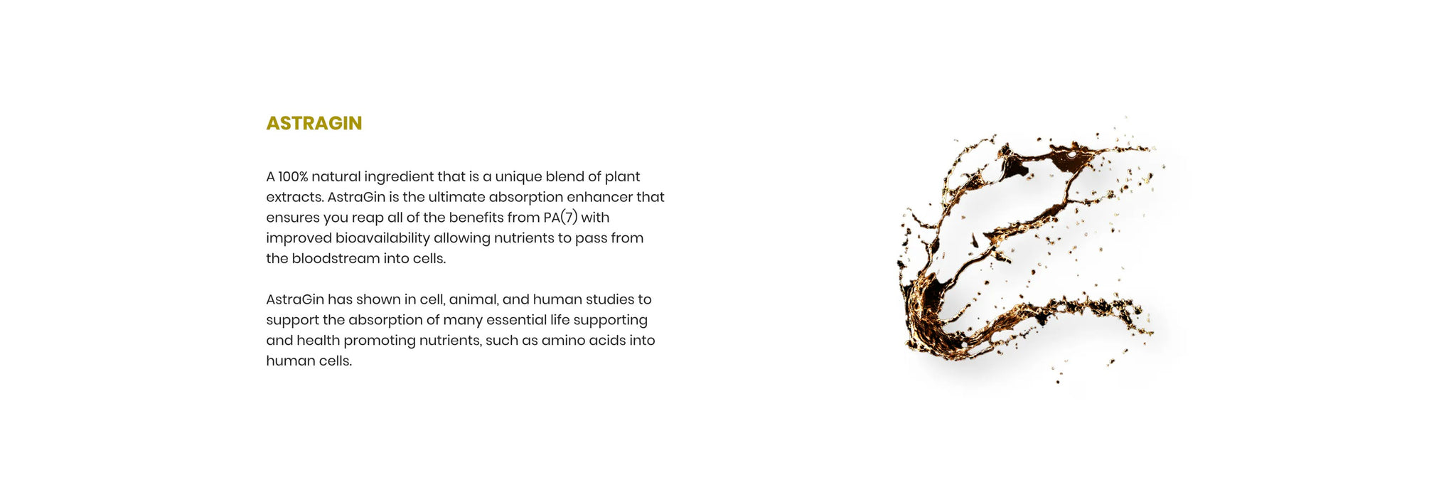 Full Width Image