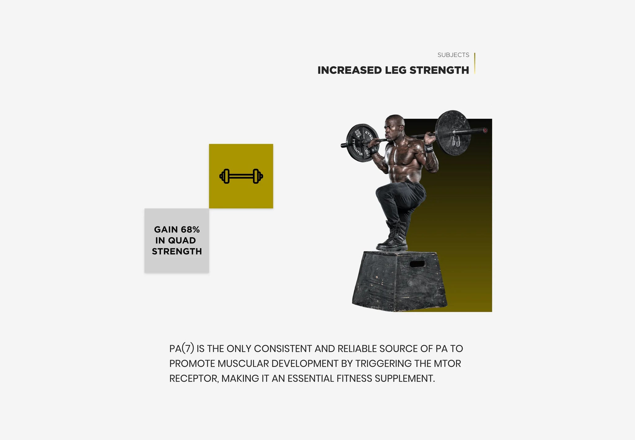 Full Width Image